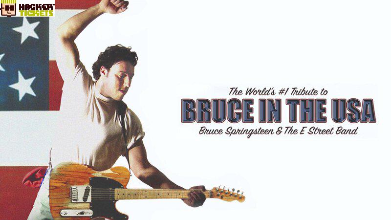 Bruce In The USA image