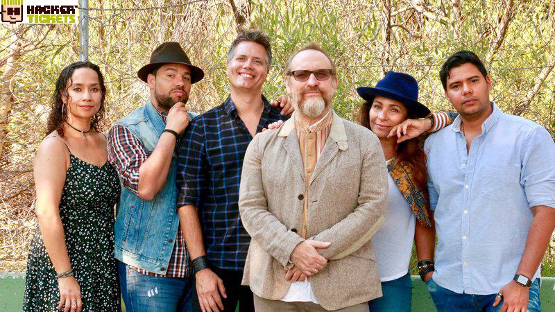 Colin Hay of Men At Work image