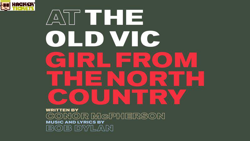 Girl from the North Country image