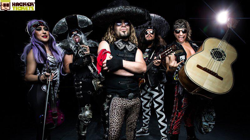 Metalachi image