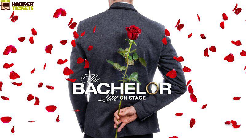 The Bachelor Live! image