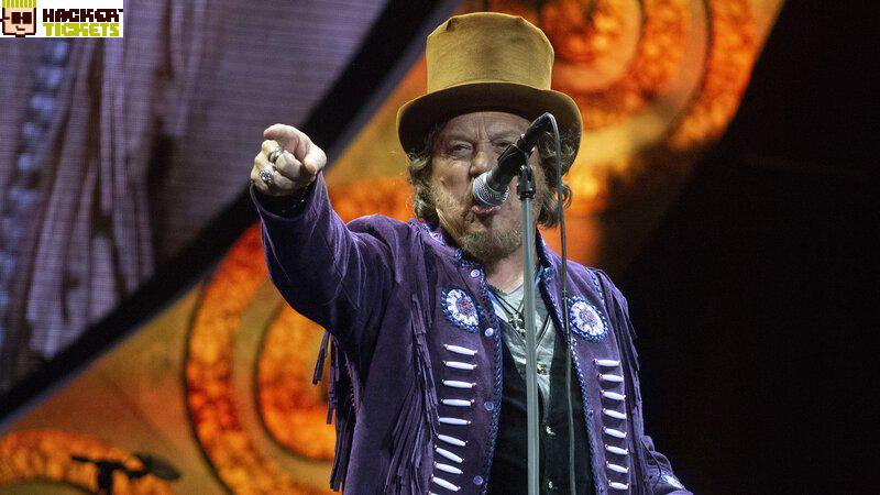 Zucchero image