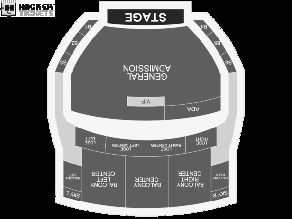 Pigeons Playing Ping Pong 2-Day General Admission seating chart