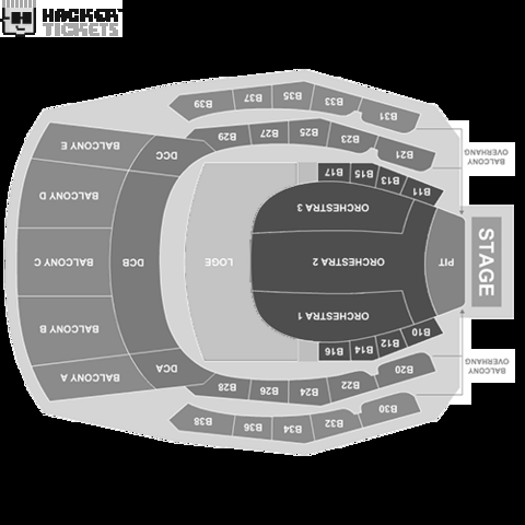 The Masked Singer: Live! seating chart