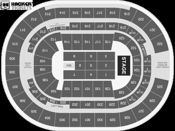 The Millennium Tour 2020 seating chart